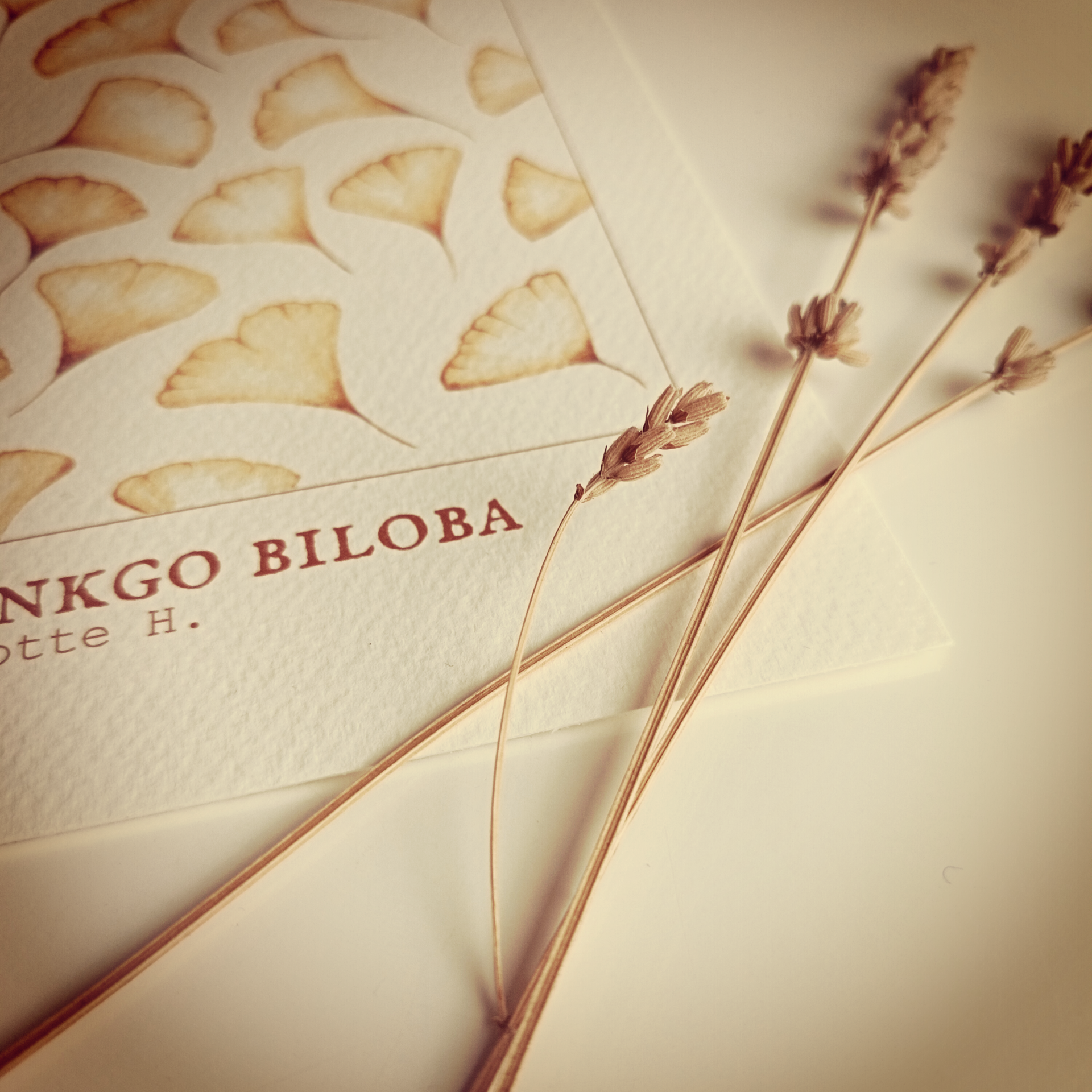 Illustration à l’aquarelle du ginkgo biloba, une affiche qui apporte une touche végétale et intemporelle aux intérieurs modernes ou bohèmes.