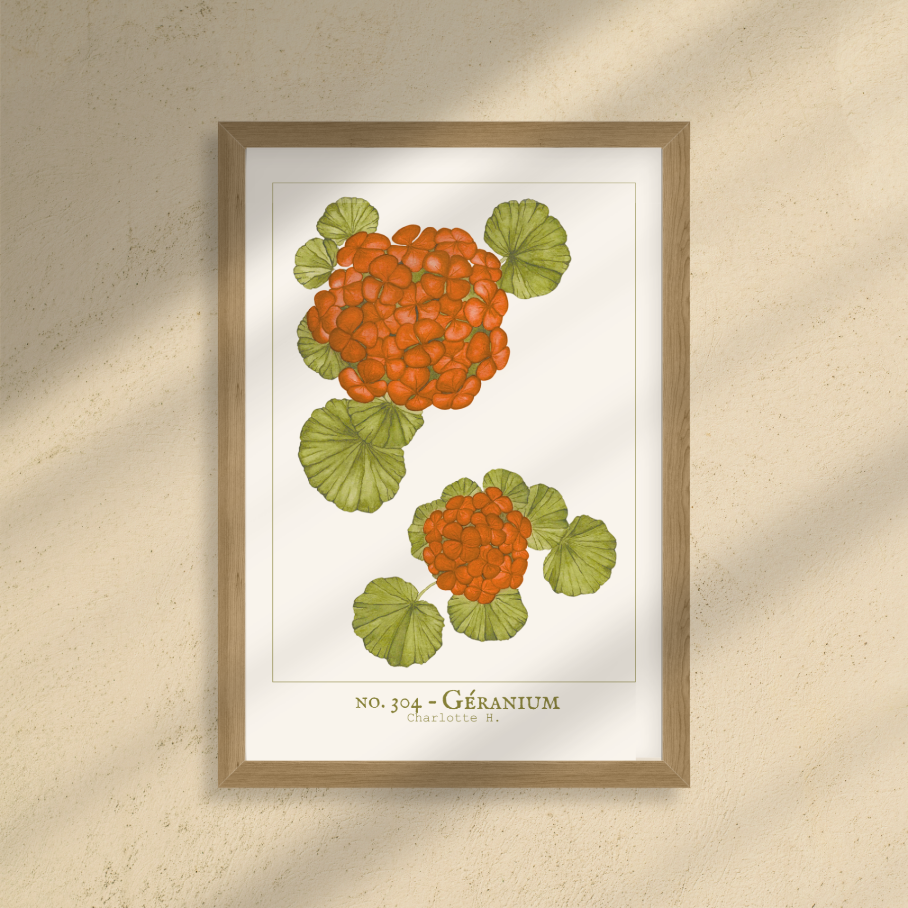Illustration d’un géranium rouge vif, évoquant le charme d’un jardin champêtre et la douceur d’une décoration cosy et naturelle.