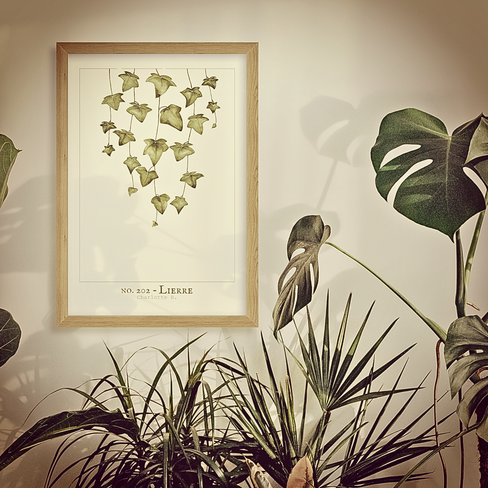 Illustration d’un lierre délicat tombant, parfaite pour apporter une touche de verdure et de sérénité à votre intérieur.