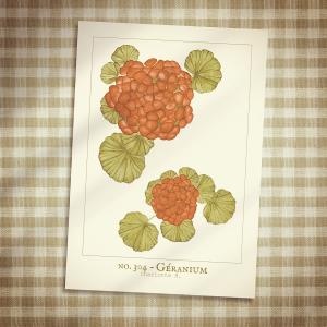 Affiche Géranium imprimée, aquarelle artisanale évoquant un jardin bucolique, idéale pour une décoration murale cosy et naturelle, ambiance cottage et maison de campagne