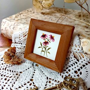 Aquarelle originale <BR> Miss Ninon