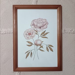Pivoines