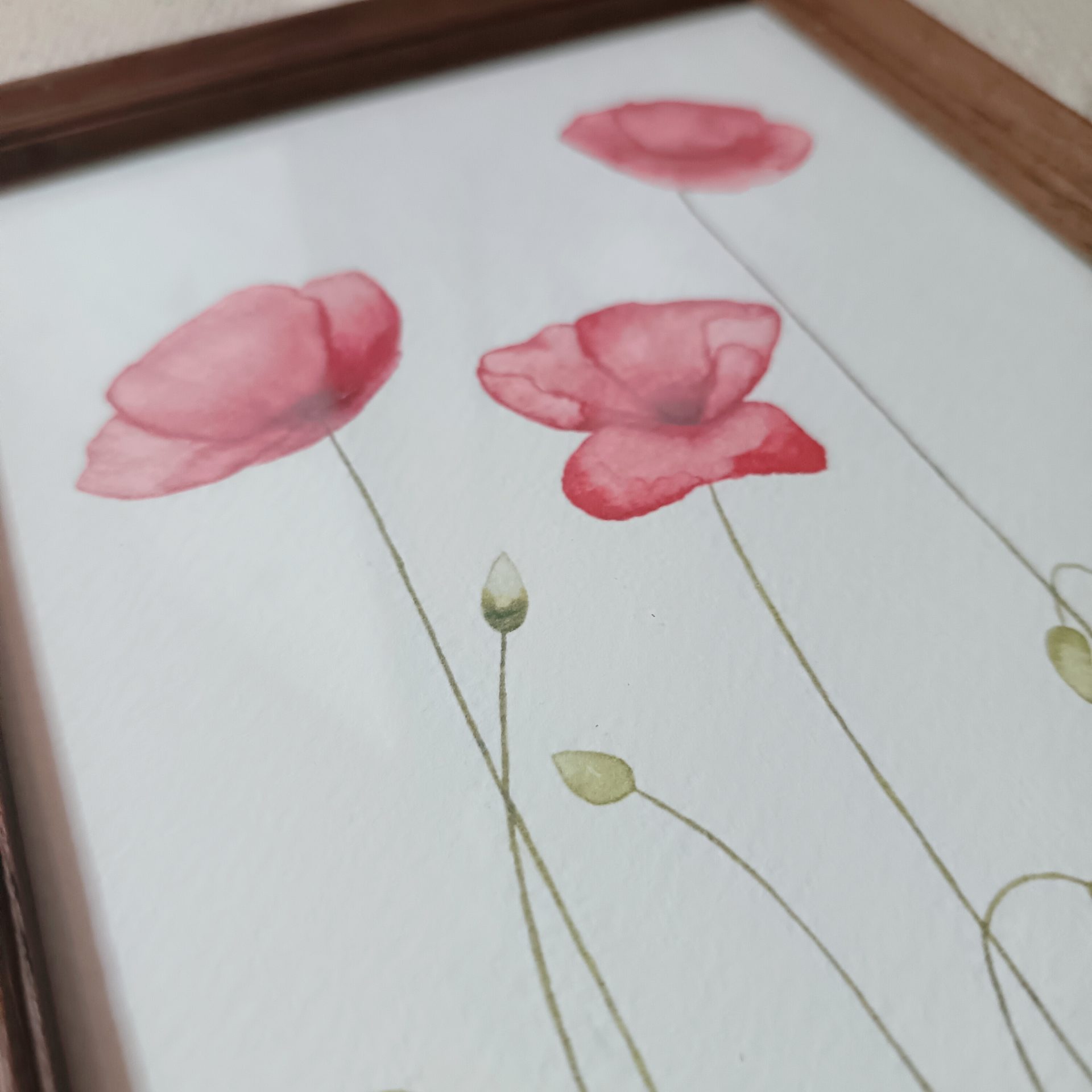 Coquelicots – Image 3