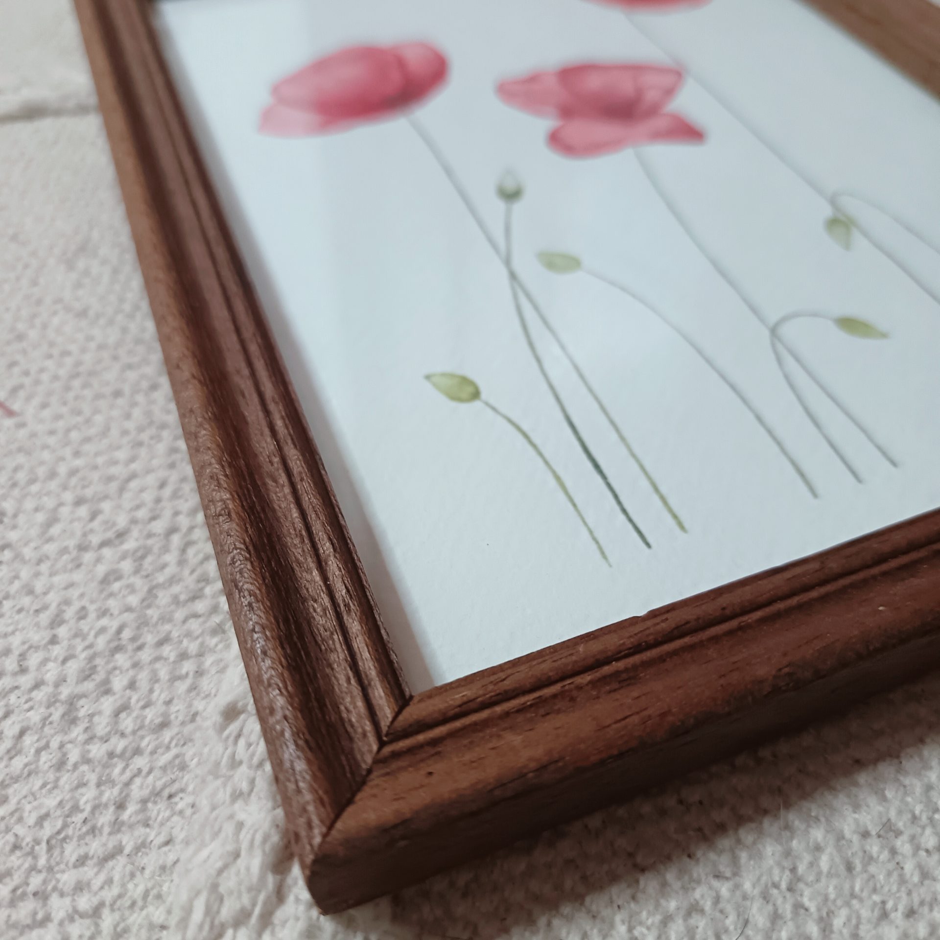 Coquelicots – Image 2