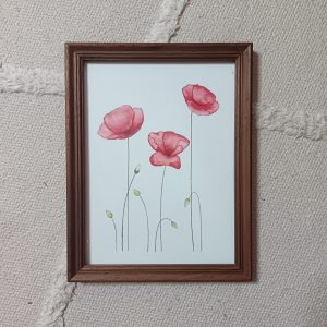 Coquelicots