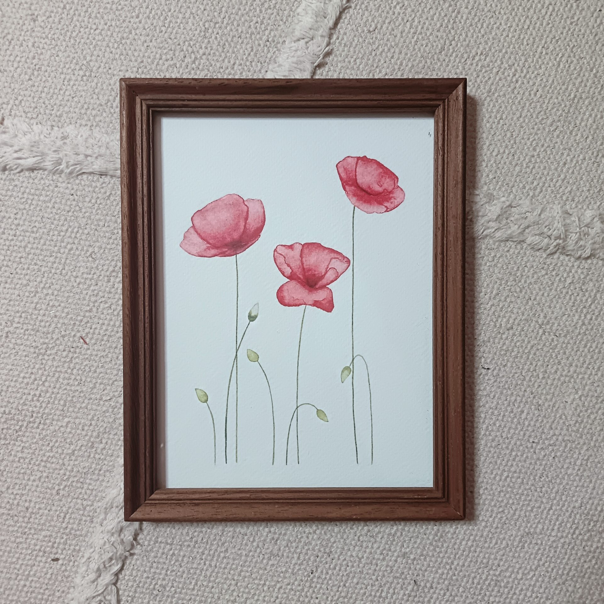 Coquelicots