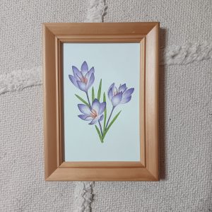 Crocus sativus